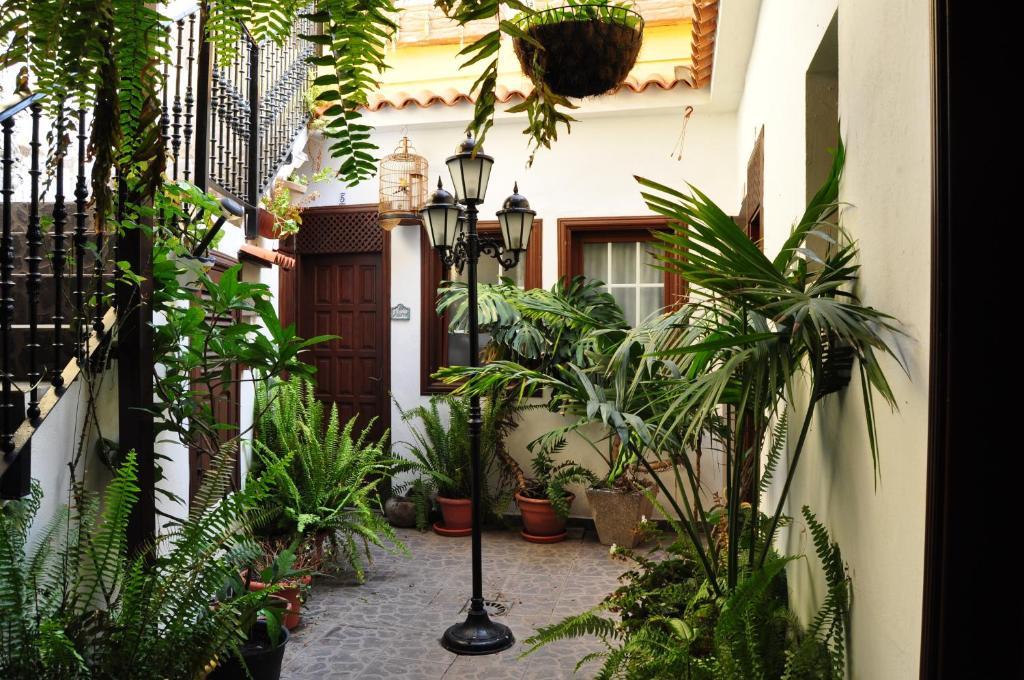 Hotel Rural Villa De Hermigua Ngoại thất bức ảnh
